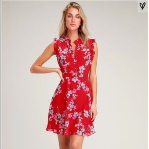 Porch Swing Red Floral Skater Dress